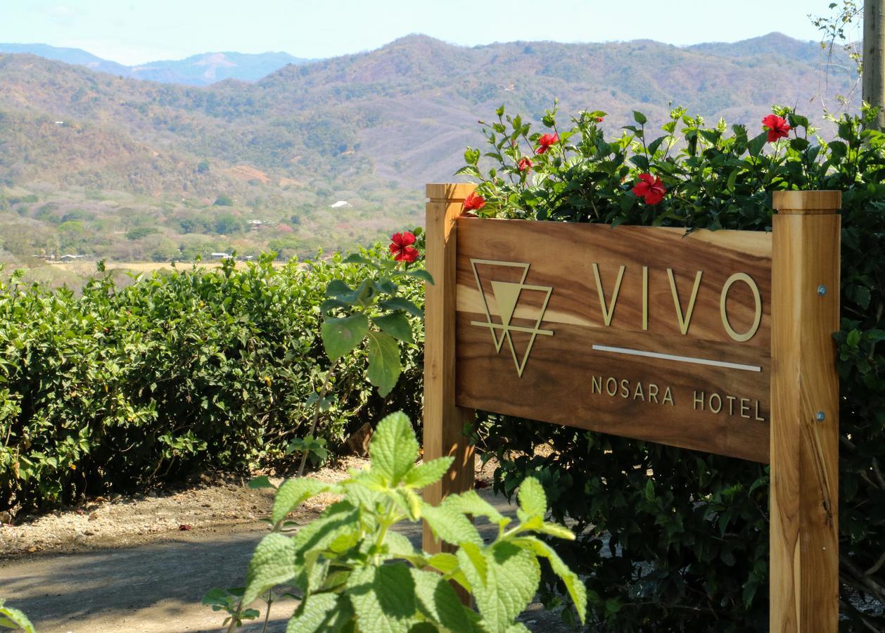 Vivo Nosara Hotel מראה חיצוני תמונה